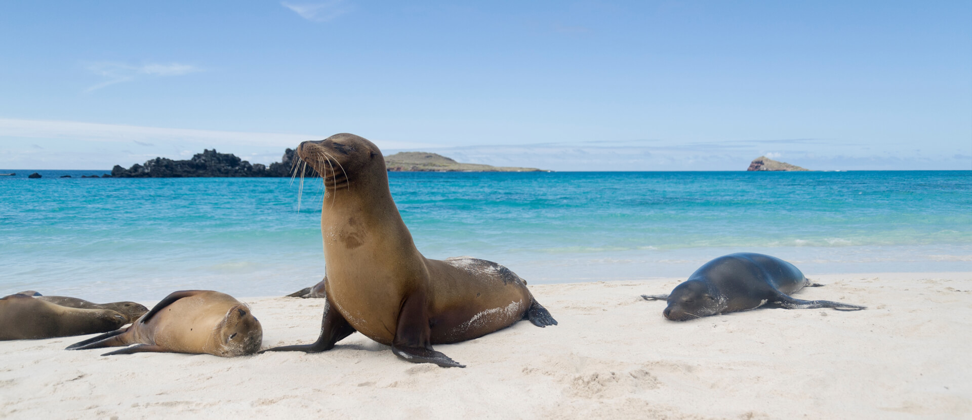 Ecuador and the Galapagos Islands